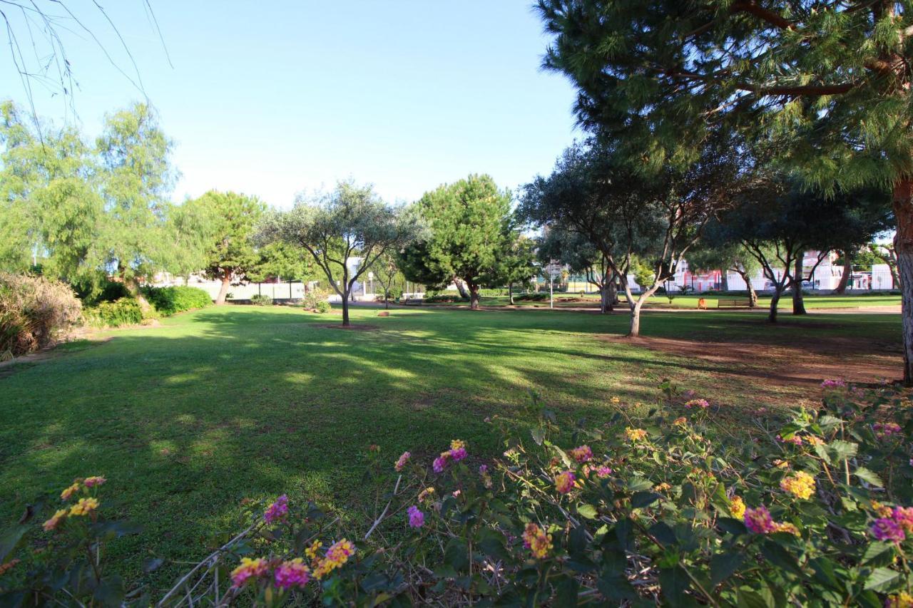 Global Properties, Apartamento Con Piscina Y Terraza En Canet Playa Canet d'En Berenguer Eksteriør bilde