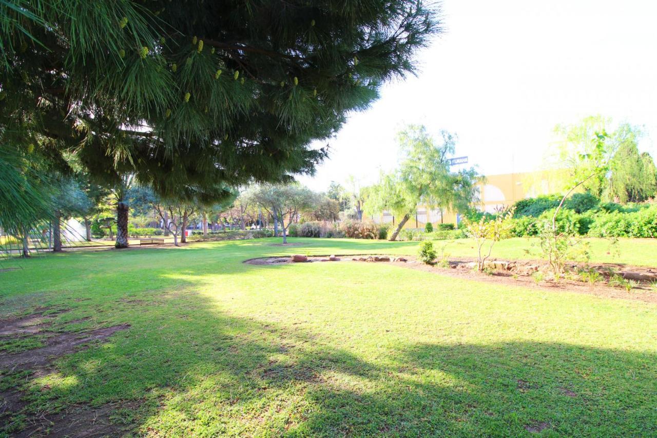 Global Properties, Apartamento Con Piscina Y Terraza En Canet Playa Canet d'En Berenguer Eksteriør bilde